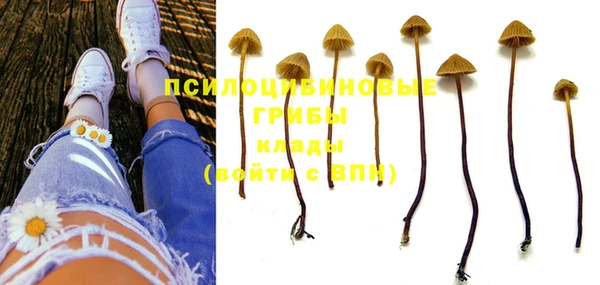 MESCALINE Алзамай
