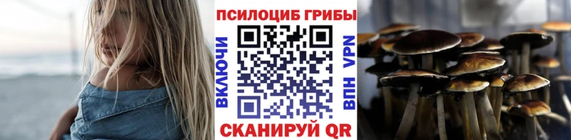 Галлюциногенные грибы Cubensis  кракен ССЫЛКА  Тосно 